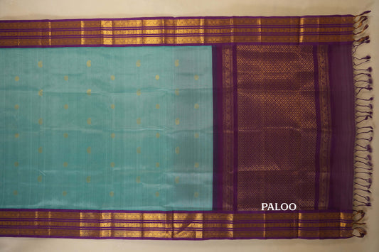 Sky Blue with Magenta Borders Silk Cotton Saree paloo