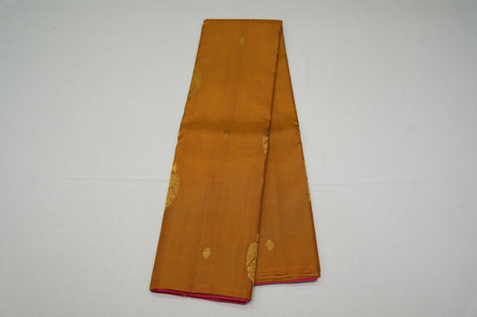 Borderless kanchipuram silk saree