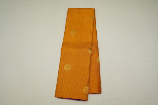 Borderless kanchipuram silk saree