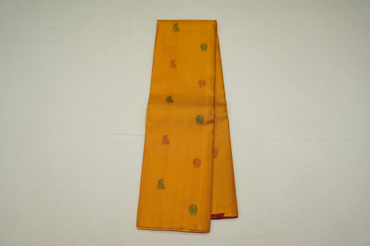 Borderless kanchipuram silk saree