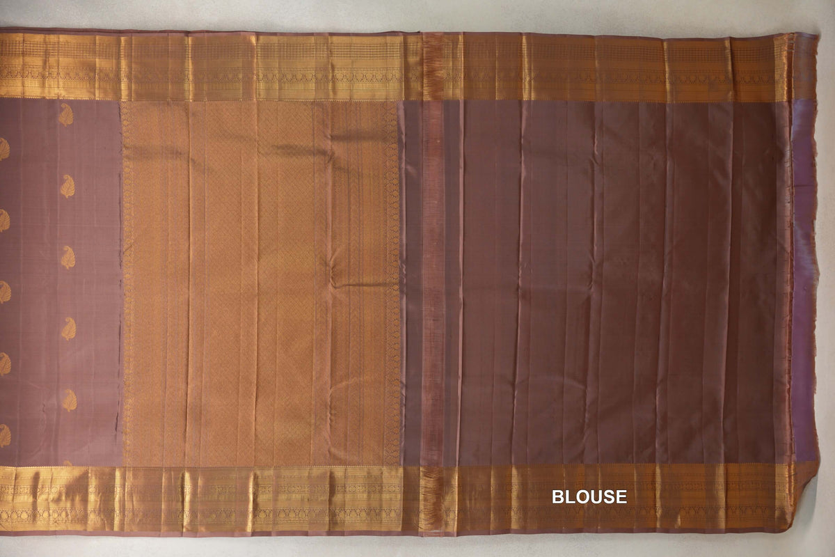 Light Brown Light Weight Kanchipuram Silk Saree blouse
