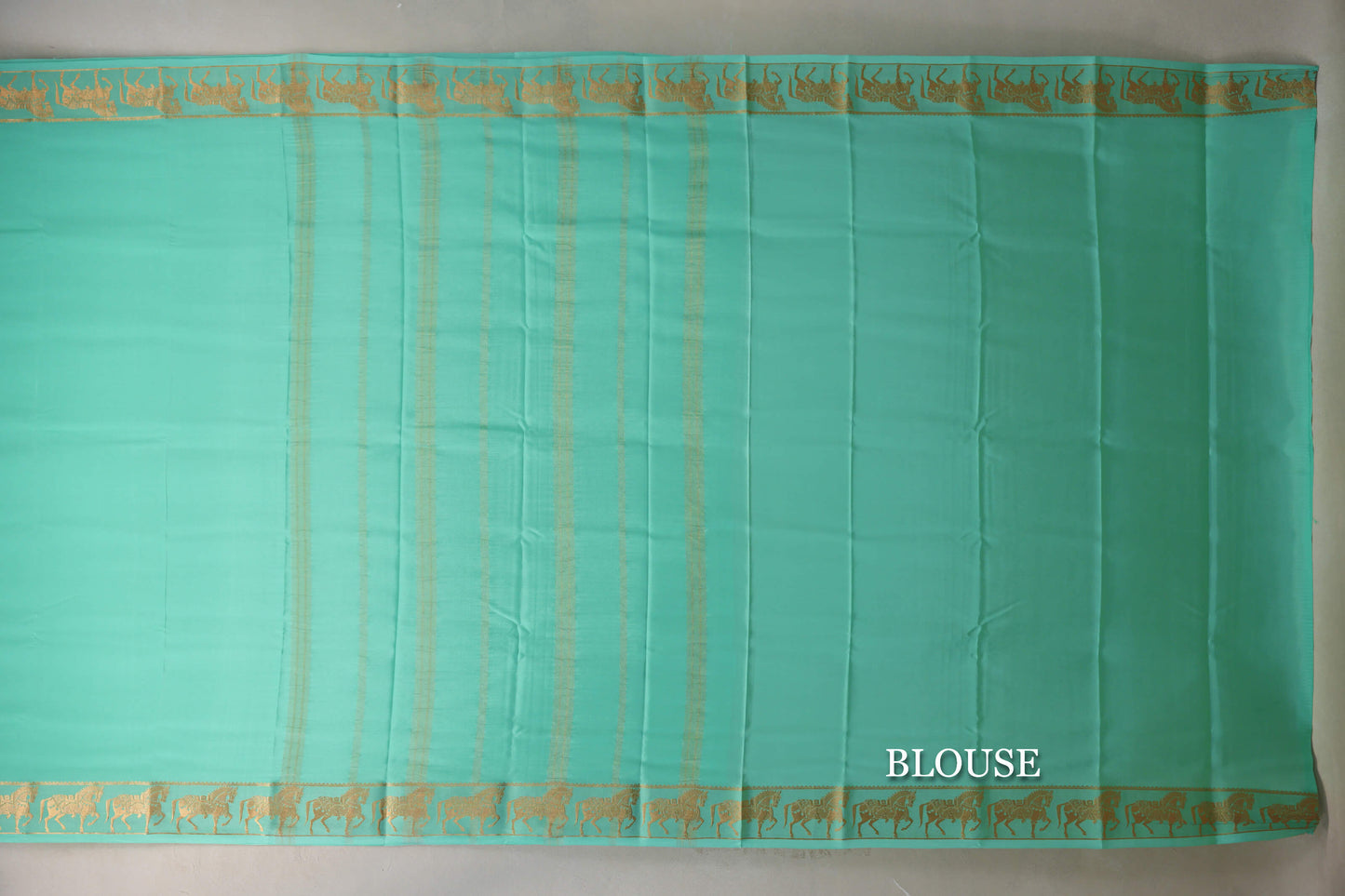 Pastel Mint Green with Self Borders Mysore Silk Saree by Shreenivas Silks PSSR019469