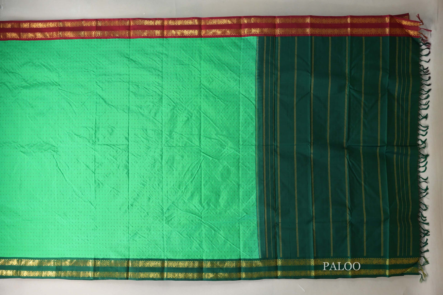 Spring Green with Ganga Jamuna Borders Vintage Kanjivaram Silk Saree paloo