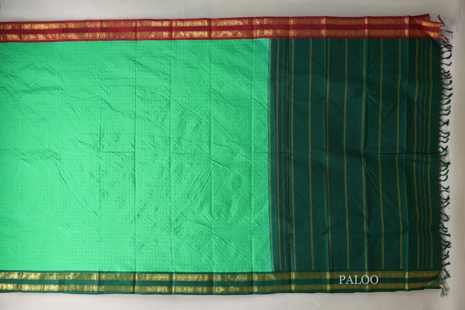 Spring Green with Ganga Jamuna Borders Vintage Kanjivaram Silk Saree paloo