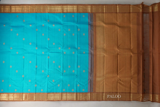 Aqua Blue with Light Brown Borders Vintage Kanjivaram Silk Saree paloo