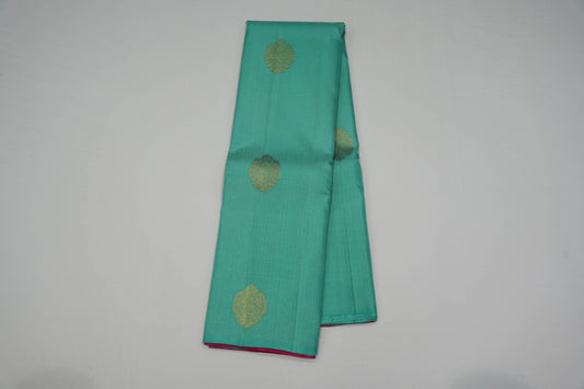 Borderless vintage kanchipuram silk saree