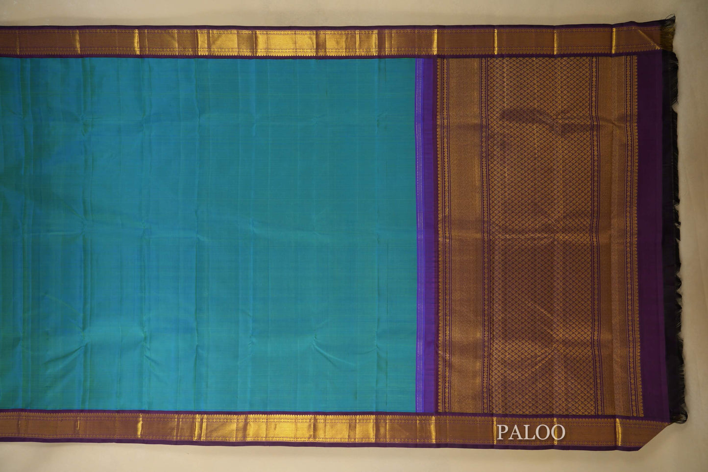 Aqua Blue Vintage Kanjivaram Silk Saree  Paloo