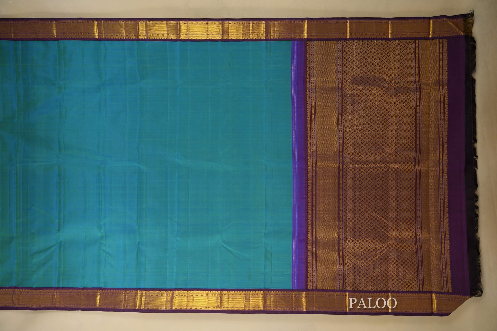 Aqua Blue Vintage Kanjivaram Silk Saree  Paloo