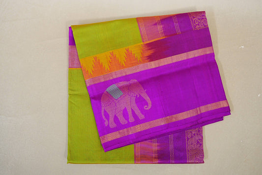 folded Parrot Green with Dark Magenta Borders Silk Cotton Saree