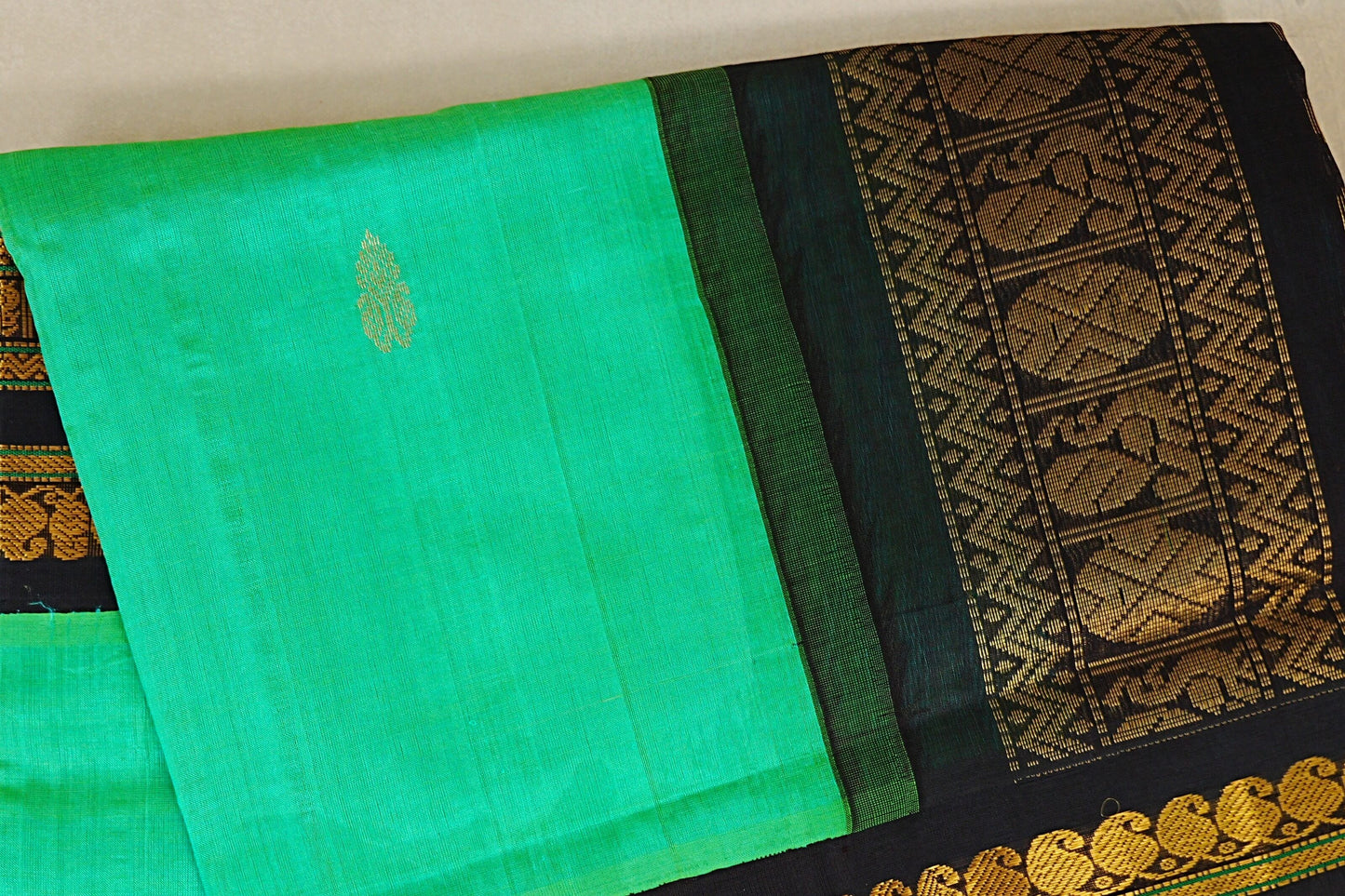 Sea Green with Black Borders Silk Cotton Saree border zoom