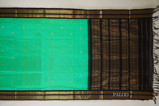 Sea Green with Black Borders Silk Cotton Saree paloo