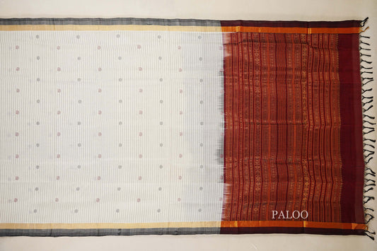 Cream with Grey Borders Silk Cotton Saree paloo