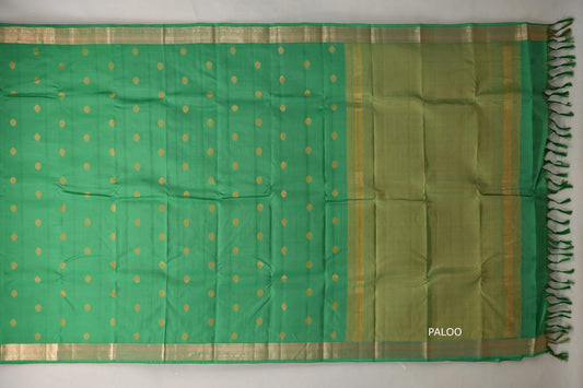 Light Parrot Green Light Weight Kanchipuram Silk Saree paloo