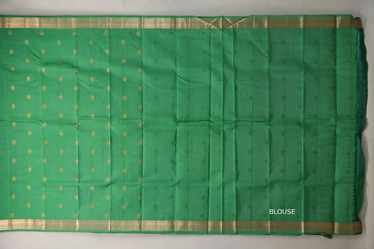 Light Parrot Green Light Weight Kanchipuram Silk Saree blouse
