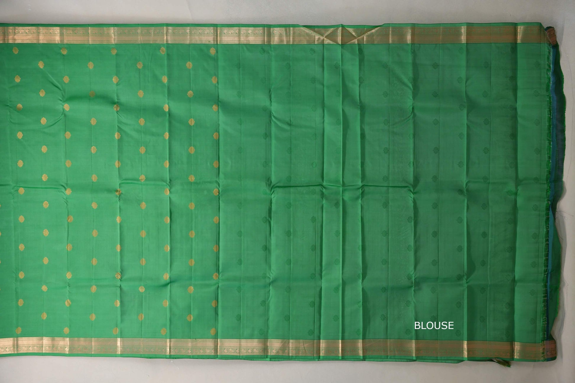 Light Parrot Green Light Weight Kanchipuram Silk Saree blouse