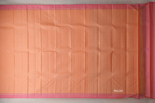 Light Peach with Coral Pink Borders Vintage Kanjivaram Silk Saree paloo
