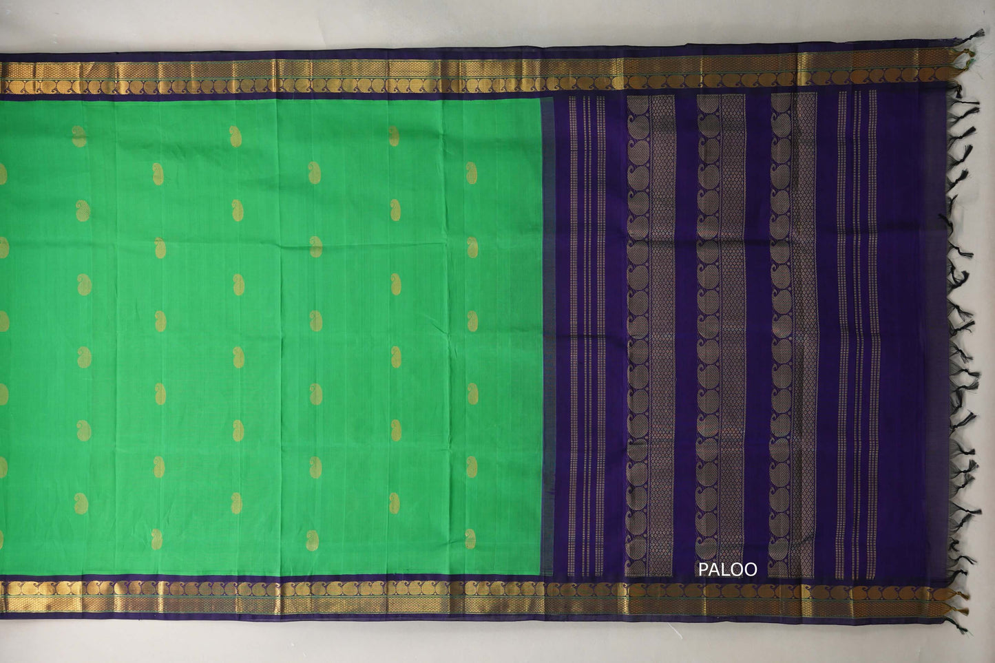 Leaf Green with Navy Blue Borders Silk Cotton Saree paloo