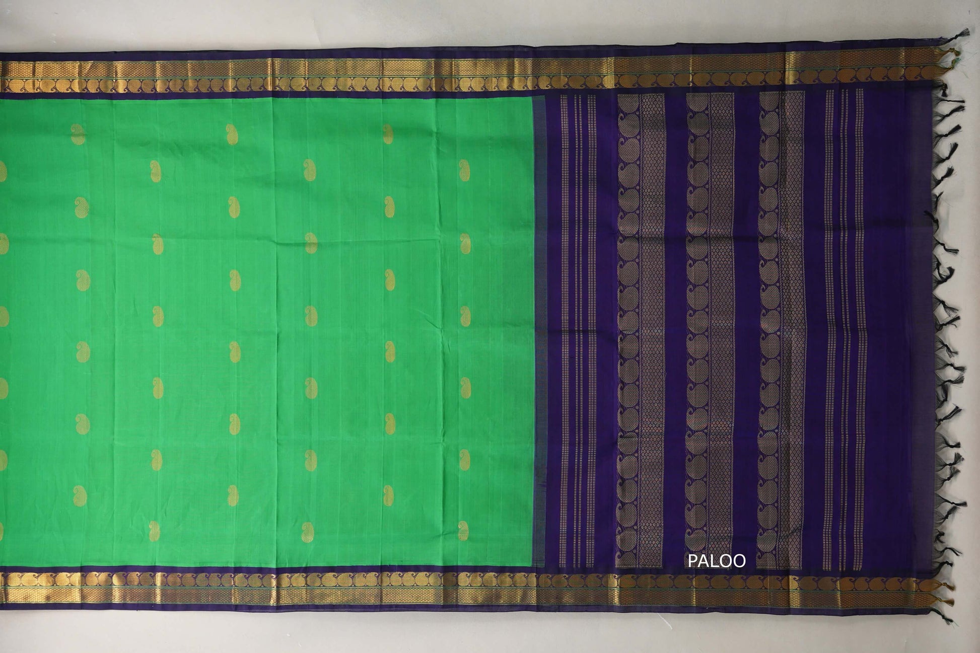 Leaf Green with Navy Blue Borders Silk Cotton Saree paloo