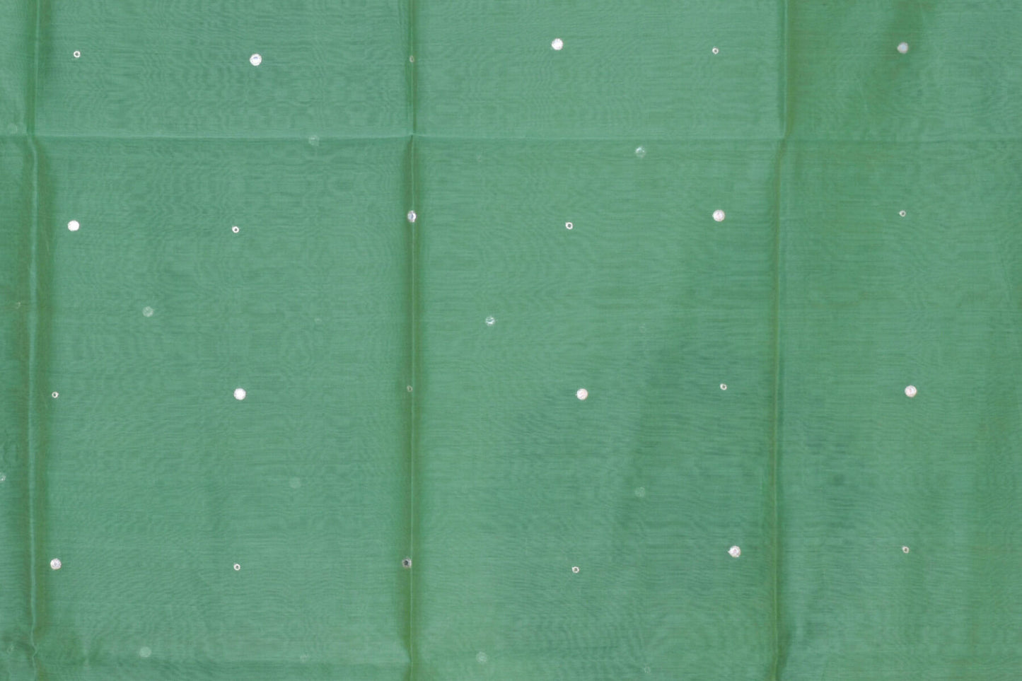 Sea Green Bhagalpuri Tussar Silk Saree by Chakor PSCK260246 - Parisera