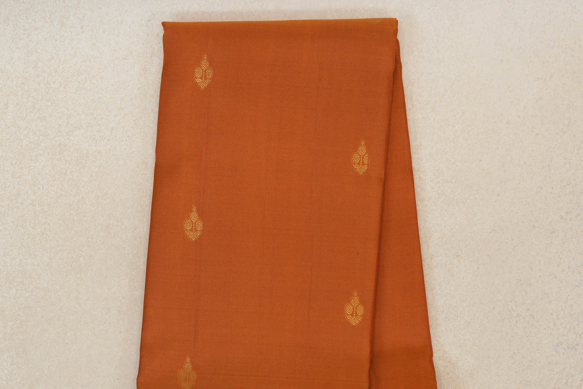 Light Brown Vintage Kanjivaram Silk Saree body zoom